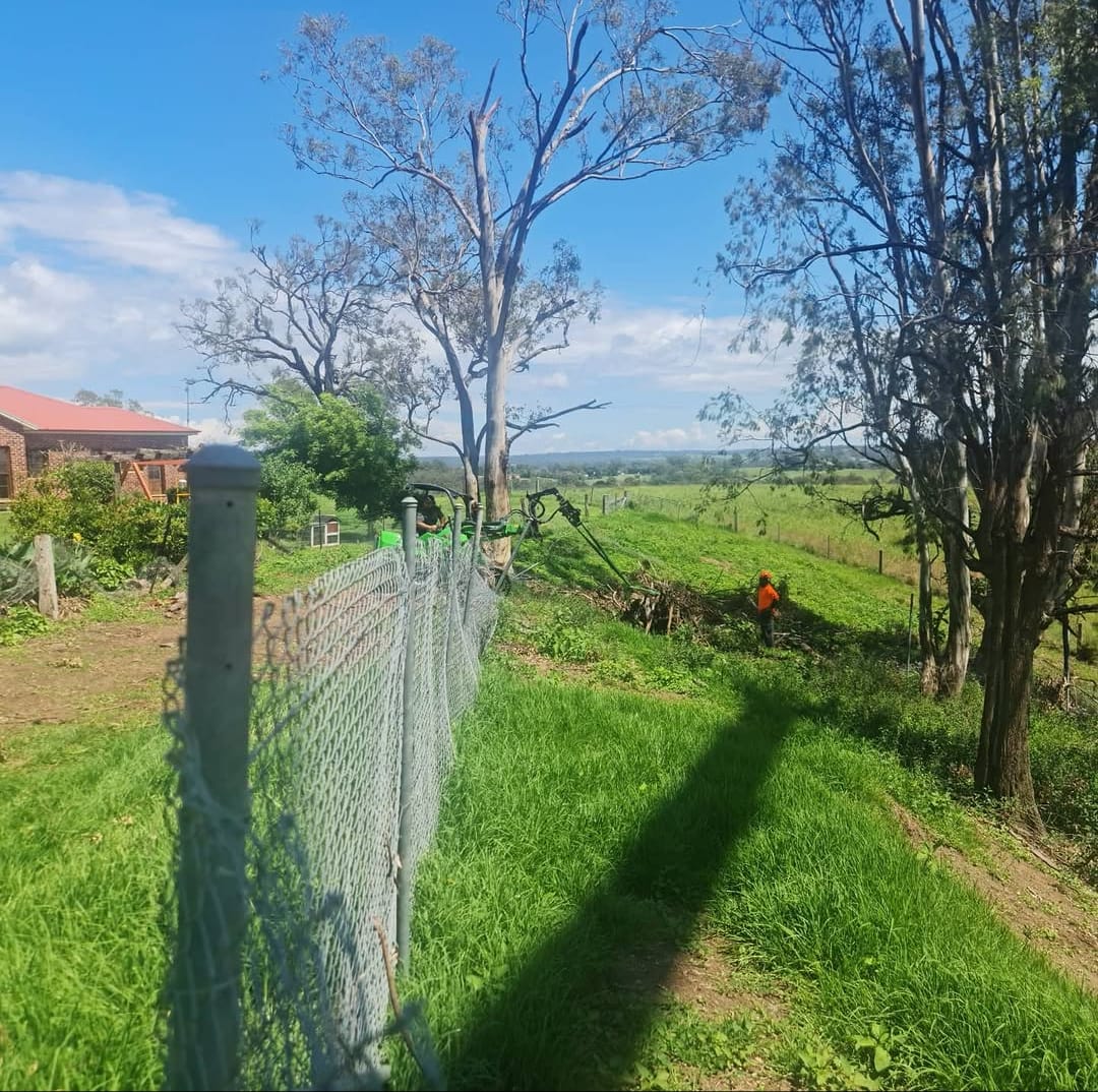 Land clearing and site preparation
